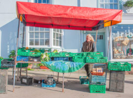 FDAHS Mp Tonys Trees