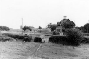 Oriel Cottages 1953