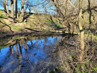 Uffington Gorse Canal 2022