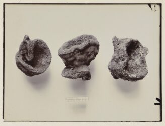 FDAHS Wicklesham Sponges 1913.